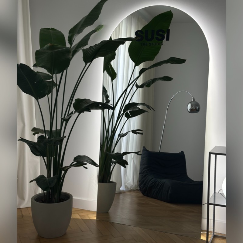 Bogenspiegel für Badezimmer mit Hintergrundbeleuchtung - FRANK LED