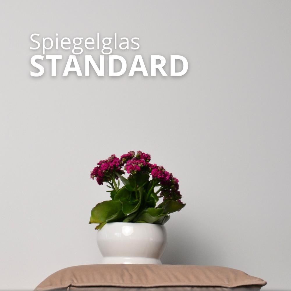 Silberfarbenes Standard-Spiegelglas